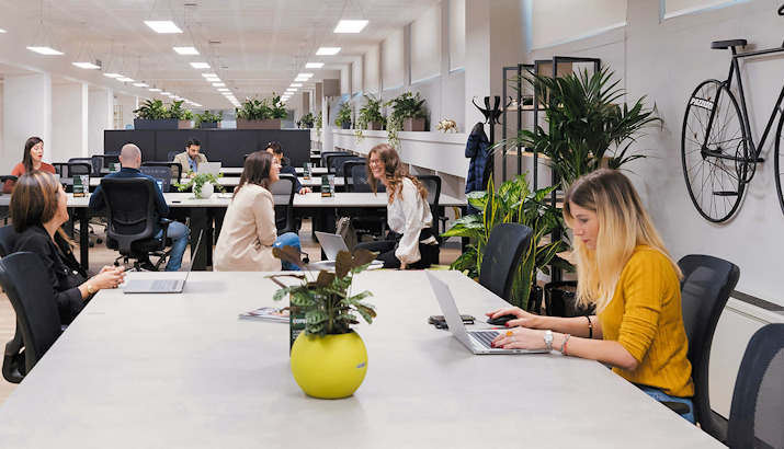 Helles Büro mit arbeitenden und gut gelaunten Personen an Notebooks. Das Bild steht sinnbildlich für gute Arbeitsergebnisse nach einer Microsoft Copilot Schulung mit einem Dozenten.